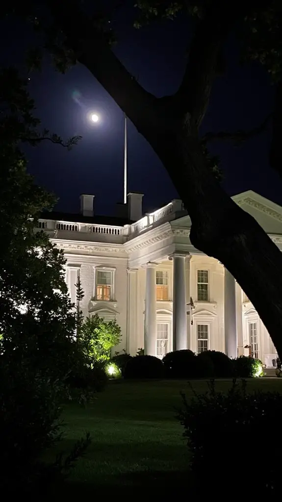 enchanting moonlight inspired ambiance