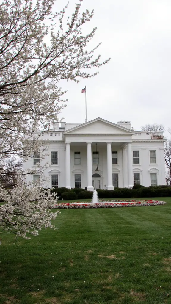 sleek simple functional elegance