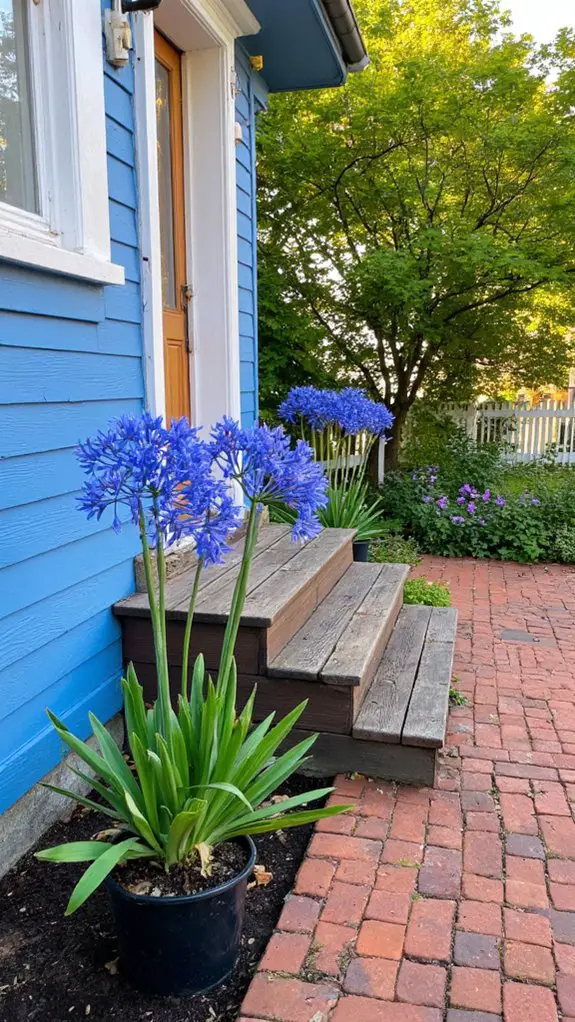 tropical flowers minimal care