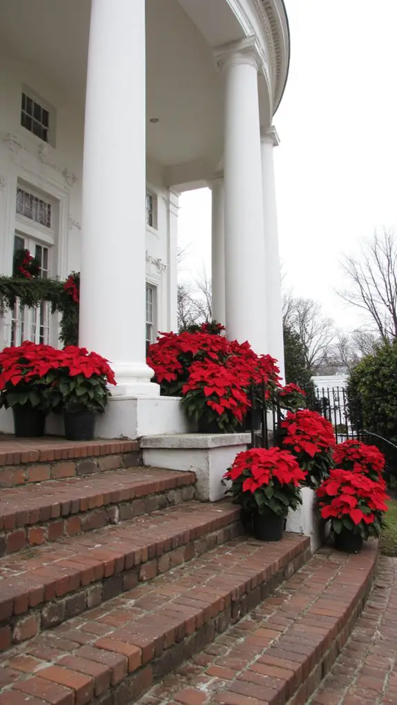 welcoming holiday spirit blooms