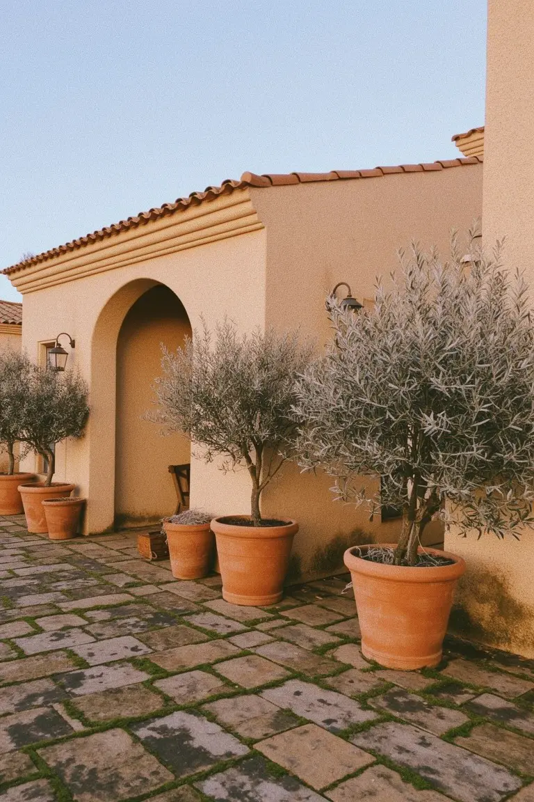 Warm beige stucco house exterior with arched doorway flanked by olive trees in terracotta pots on stone pavers