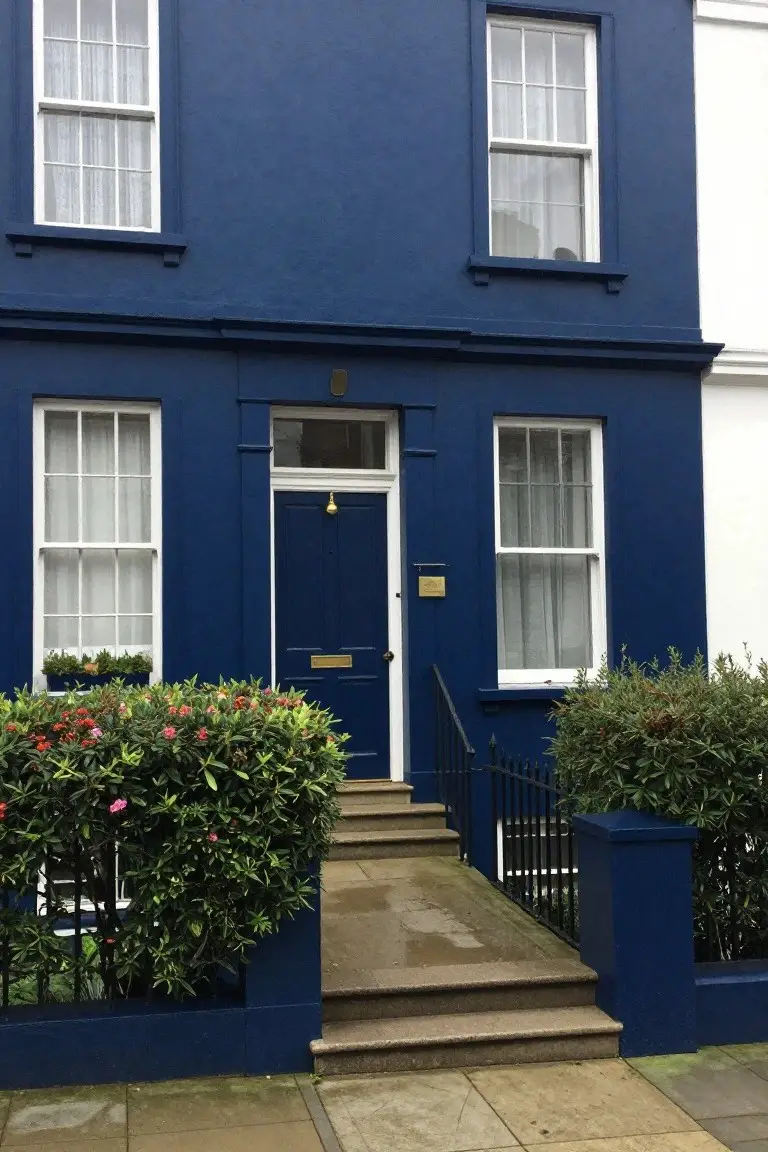 Deep navy blue painted townhouse exterior with white-framed windows, black door, and clipped green hedges