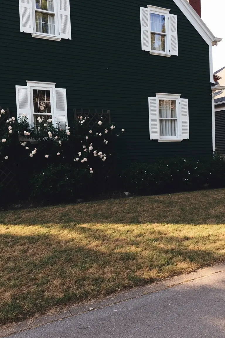 Dark green clapboard house with white window trim and shutters, pink climbing roses along the side, and patchy front lawn in afternoon light