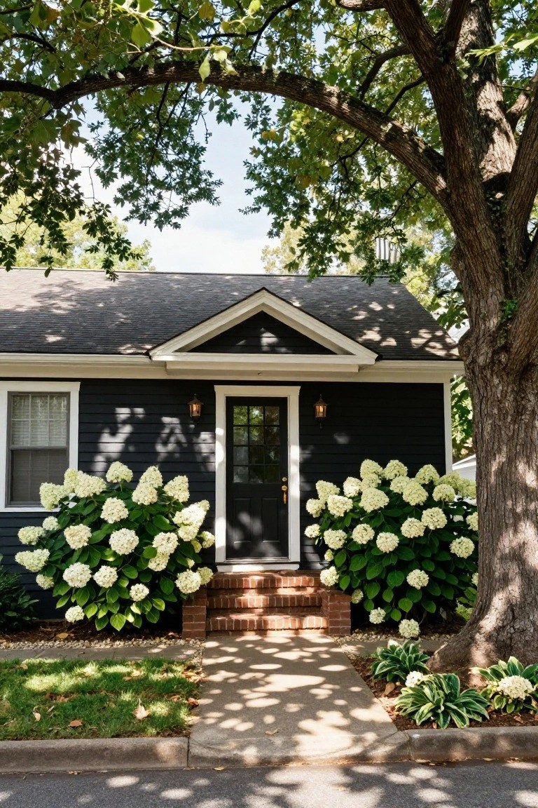 Black Colonial-style house exterior with dark shingle siding, white trim, glass-paneled black front door, large white hydrangea bushes flanking brick entry steps, hosta plants, and a large tree overhead.