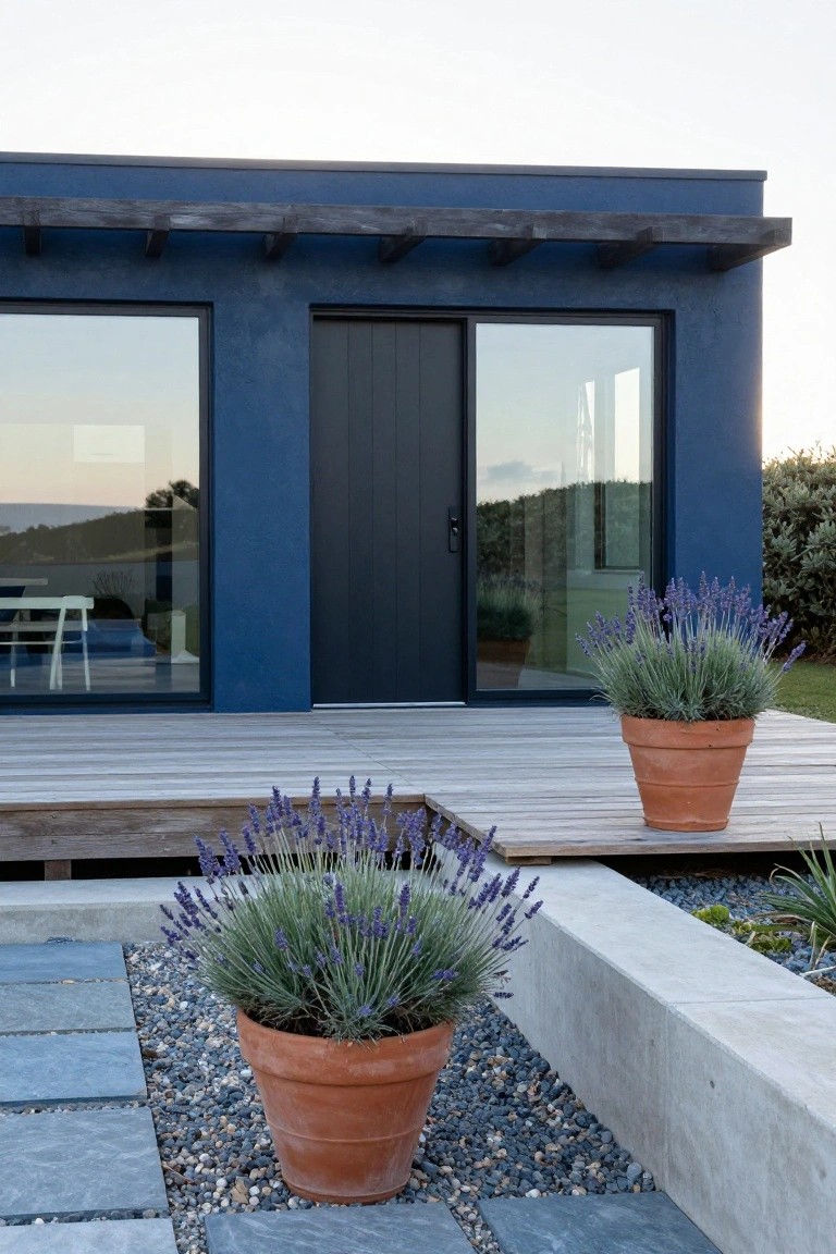 Deep blue modern house exterior with wooden pergola overhang, large glass windows, black front door, wooden deck, terracotta pots of lavender plants, gravel ground cover, and concrete edging.