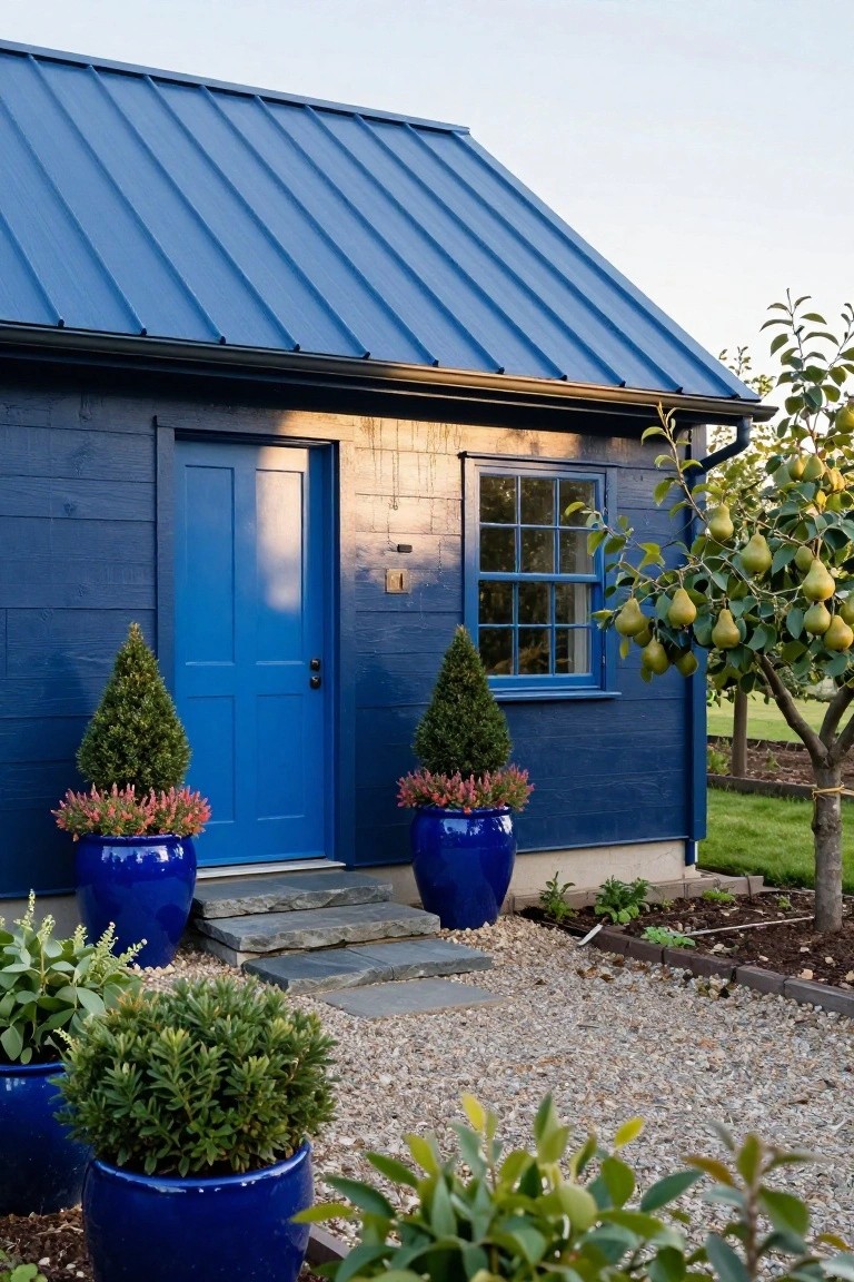 Small navy blue wooden shed with blue metal roof, blue front door, and single window, flanked by two large blue ceramic pots with topiary shrubs on stone steps, gravel path, and nearby pear tree with fruit.