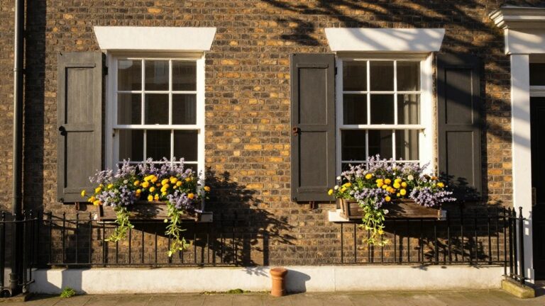 Two charming windows with dark wooden shutters, adorned with vibrant flower boxes filled with yellow and purple blooms, against a textured brick wall.