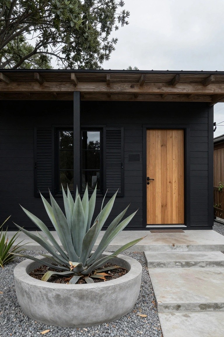 Small black shiplap house exterior under wooden pergola with black louvered shutters on window, vertical plank wooden front door, large agave succulent in concrete pot, gravel mulch, and concrete entry steps.