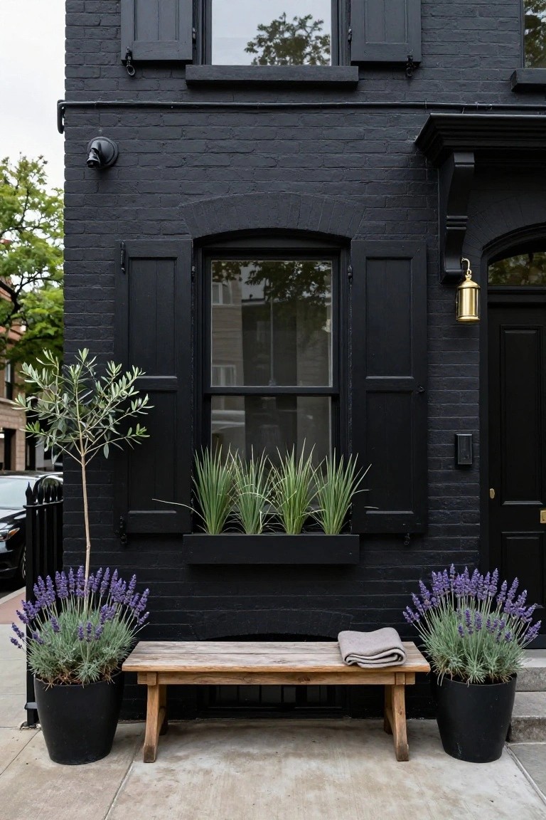 Black brick townhouse exterior with black shutters on double-hung windows, black front door with brass hardware and lantern, potted olive tree and lavender plants flanking a wooden bench on the stoop, and grasses in a window box.