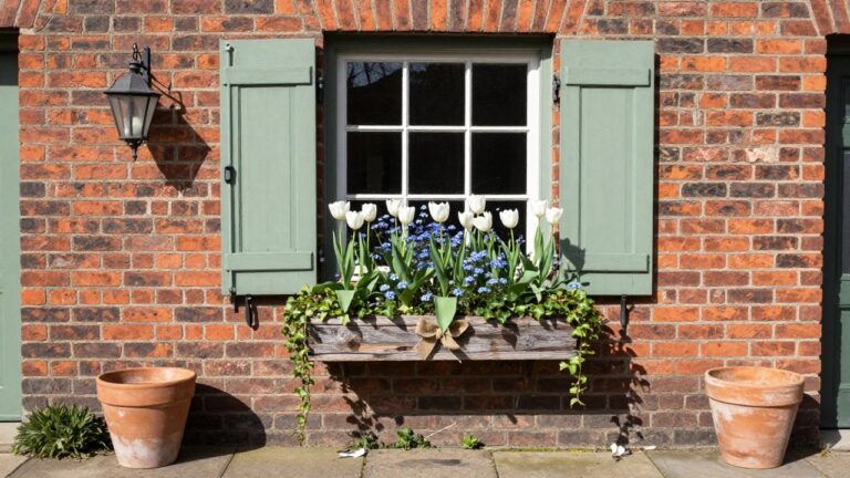 Brick house exterior wall with green shutters open beside a white-framed multipane window, wooden window box filled with multicolored tulips, blue flowers, and trailing ivy below the sill, wall lantern, and terracotta pot on pavement nearby