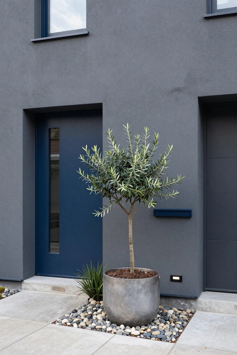 Modern house exterior with smooth grey walls, a tall blue front door, potted olive tree in a large grey container surrounded by pebbles and grasses, blue mailbox, and adjacent grey garage door.