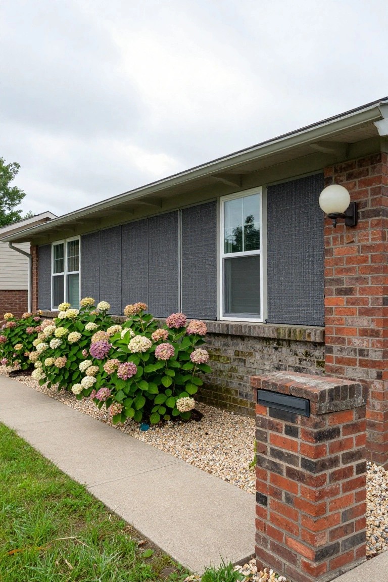 Side view of a brick ranch house with gray woven privacy screens covering exterior windows, blooming pink and white hydrangeas in front, gravel mulch bed, brick mailbox pillar, and concrete sidewalk.