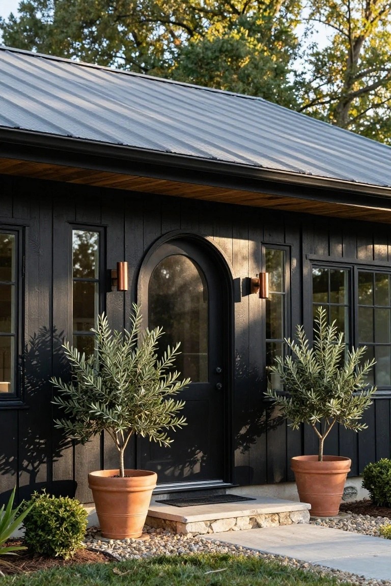 Black shiplap siding on a small house exterior with grey metal roof, arched black front door with glass panel, two matching potted olive trees in terracotta pots flanking the entry, copper sconces, wood beam overhang, stone steps, gravel path, and low shrubs.