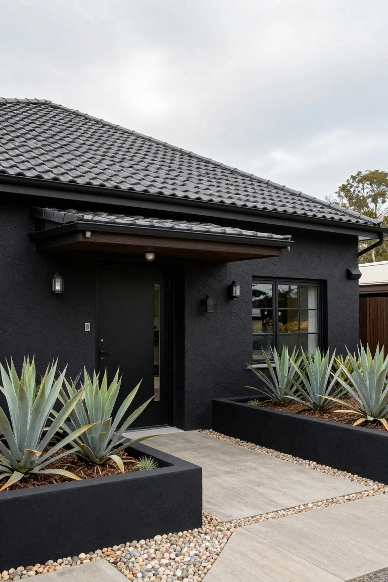 Black house exterior with dark grey tile roof, featuring a recessed black front door under a wooden awning flanked by two black raised planters filled with agave plants, concrete entry path edged with pebbles.