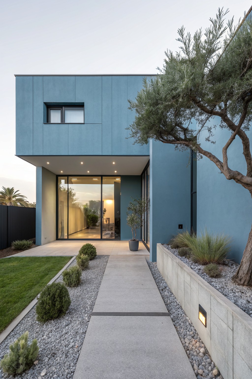 Blue modern house exterior showing glass entry doors with interior visible, concrete pathway lined with three spherical boxwood shrubs, gravel borders with grasses and agave plants, large olive tree overhanging the corner, and lawn at dusk.