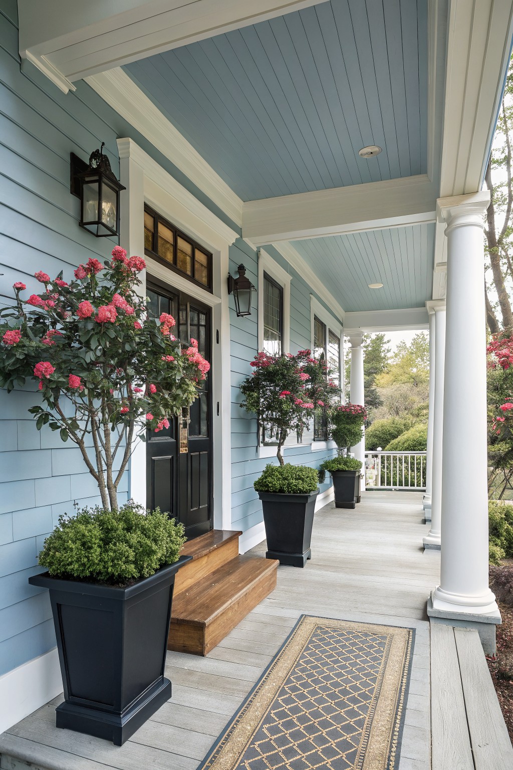 Potted Crape Myrtles on the Porch
