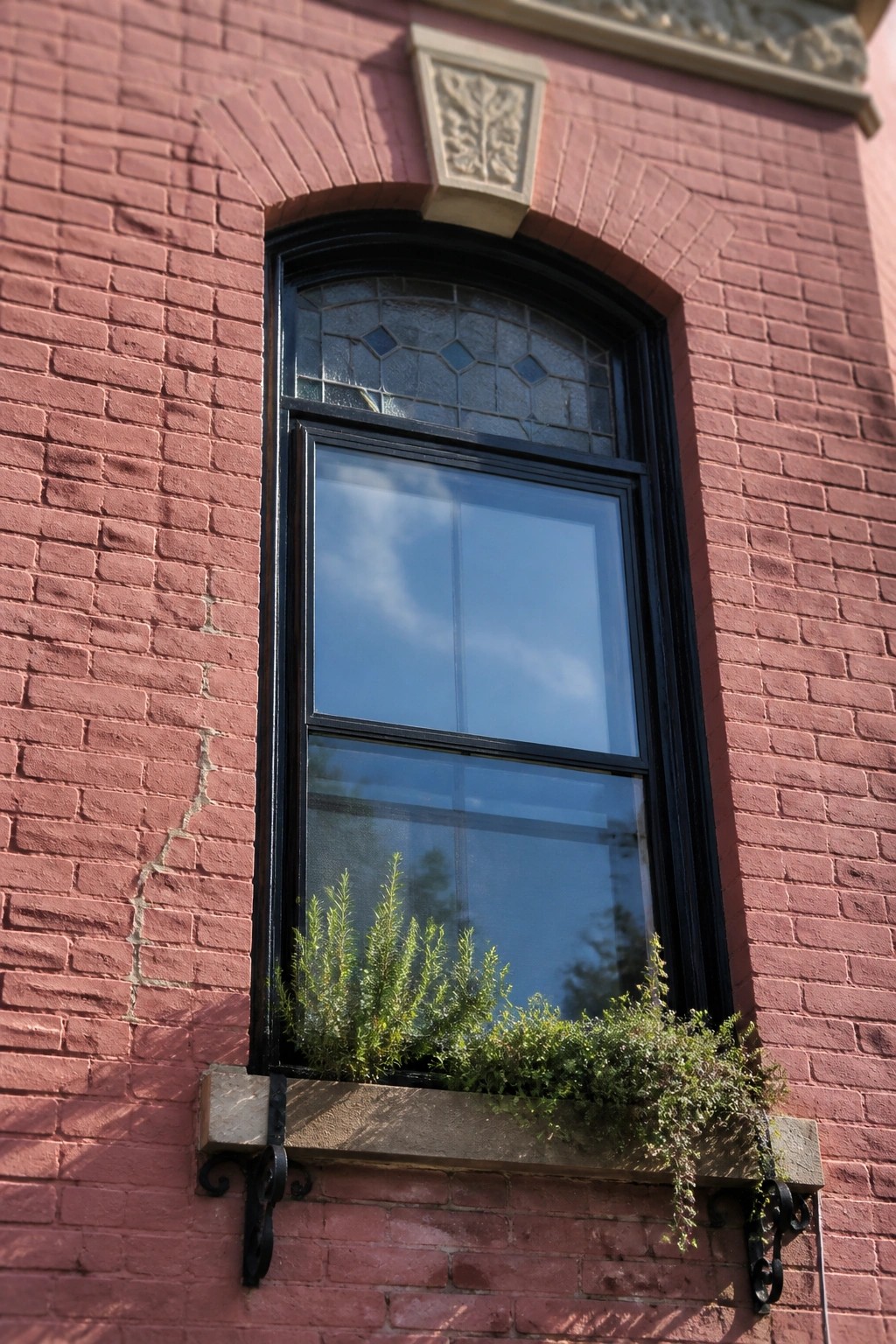 Arched black-framed window in red brick wall with green plants in planter box