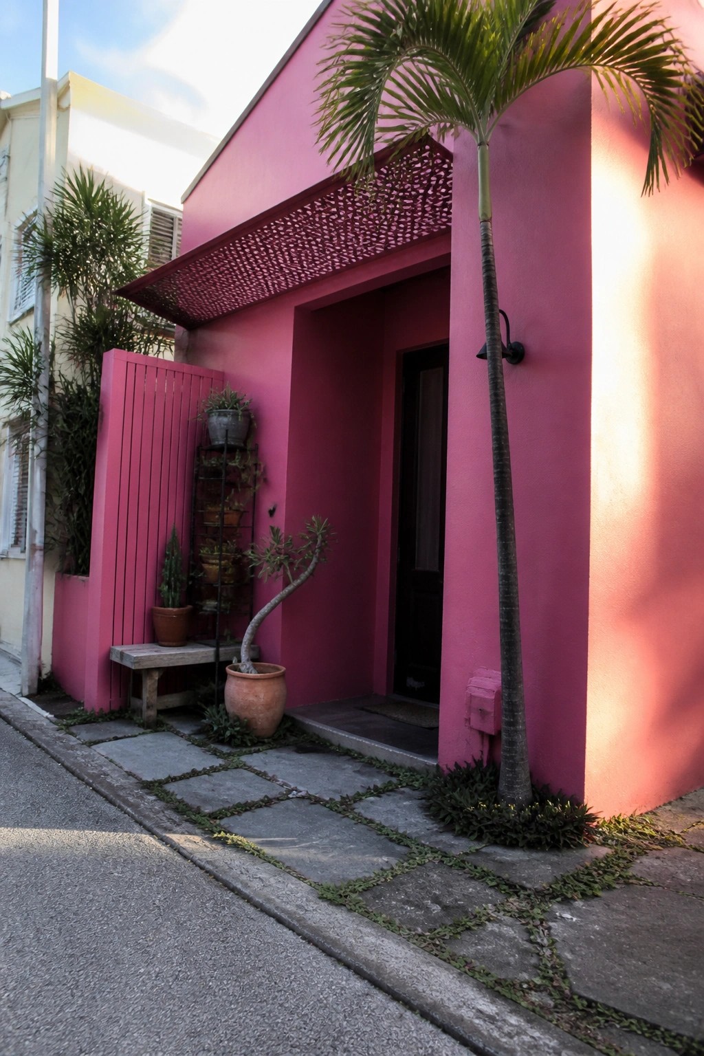 A bright pink house exterior with a dark door, a tall palm tree beside the entrance, and potted plants along a stone path.