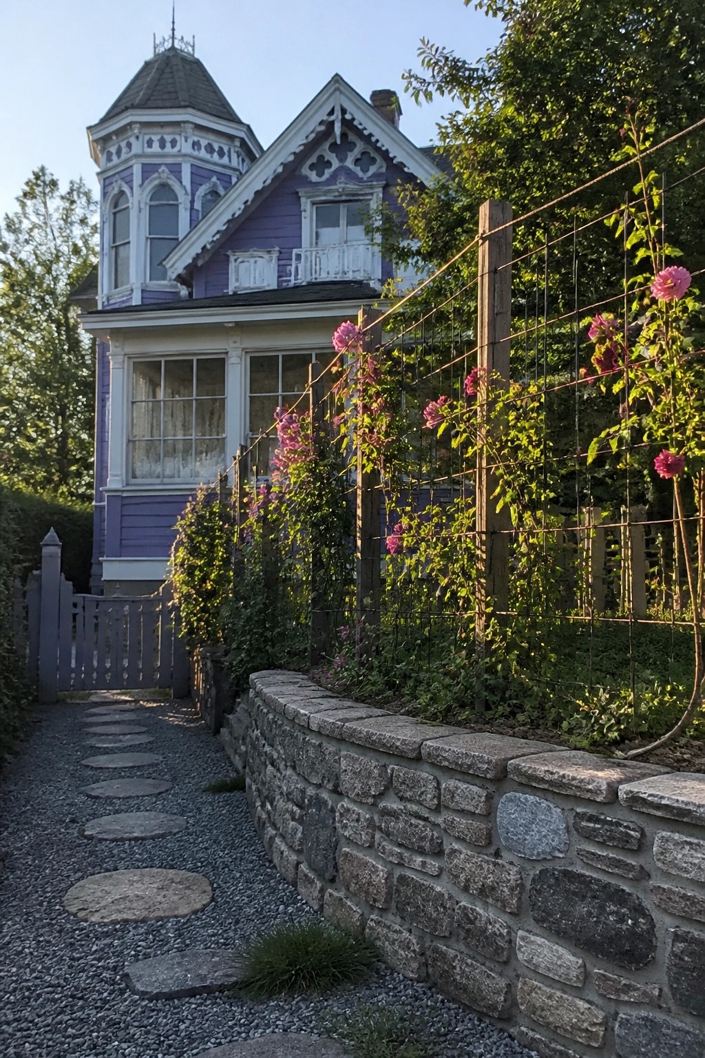 A purple Victorian house with white trim stands behind a low stone wall and a wire fence with climbing pink roses.