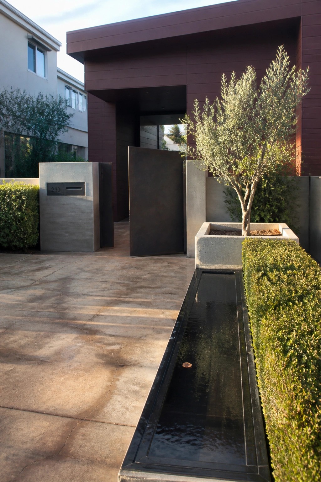 A modern house front with burgundy fiber cement siding, a dark metal gate, concrete planters, a narrow water feature, and an olive tree.