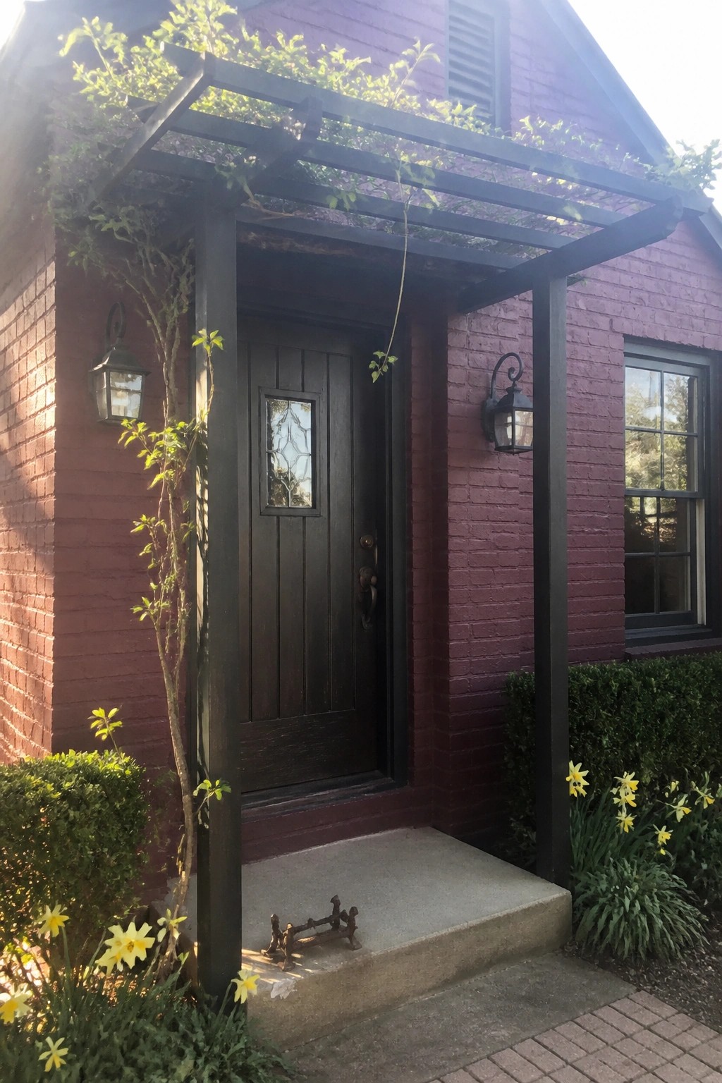 Purple brick house entrance with dark door under vine-covered pergola and yellow daffodils.