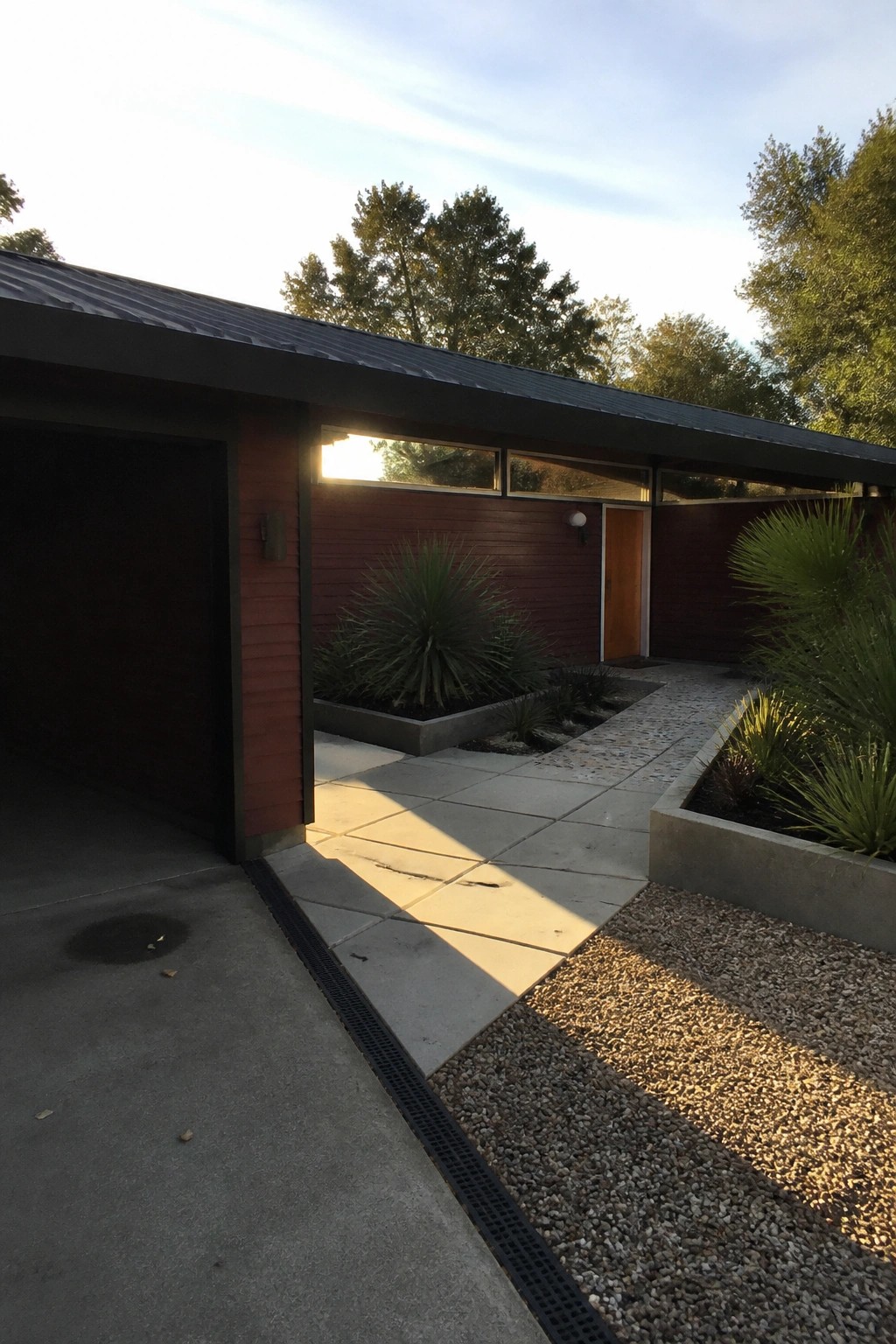 A single-story house exterior showing dark burgundy horizontal siding, a charcoal metal roof with deep overhang, a concrete driveway and path, and concrete planters with tall grasses.